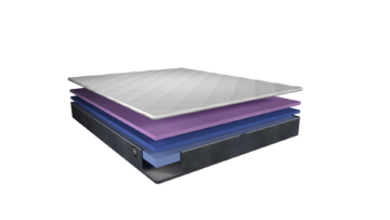Large (L)